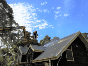 Roof Cleaning in Melbourne