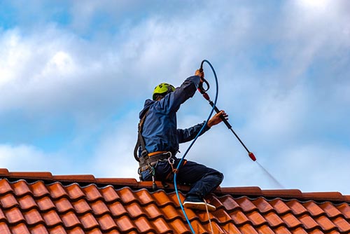 roof cleaning