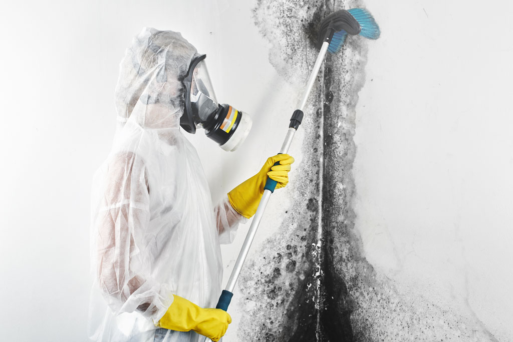 Mould removal guide Melbourne