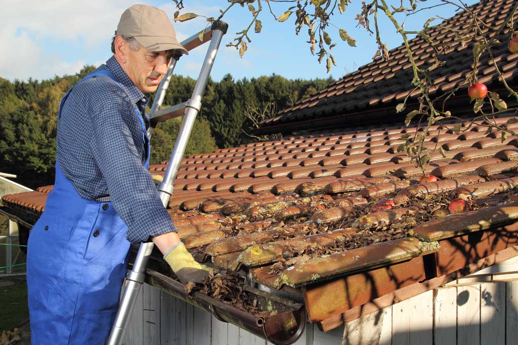 gutter cleaning service by expert