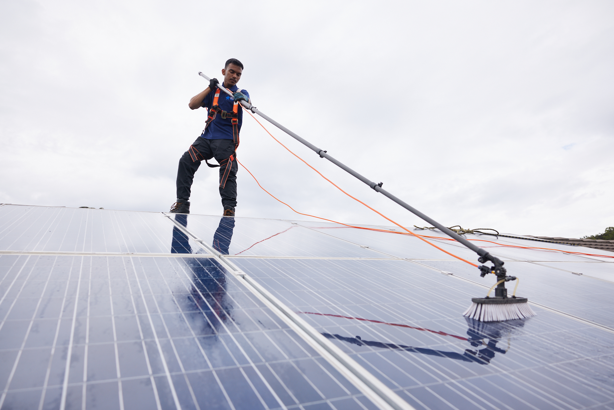 Solar Panel Cleaning