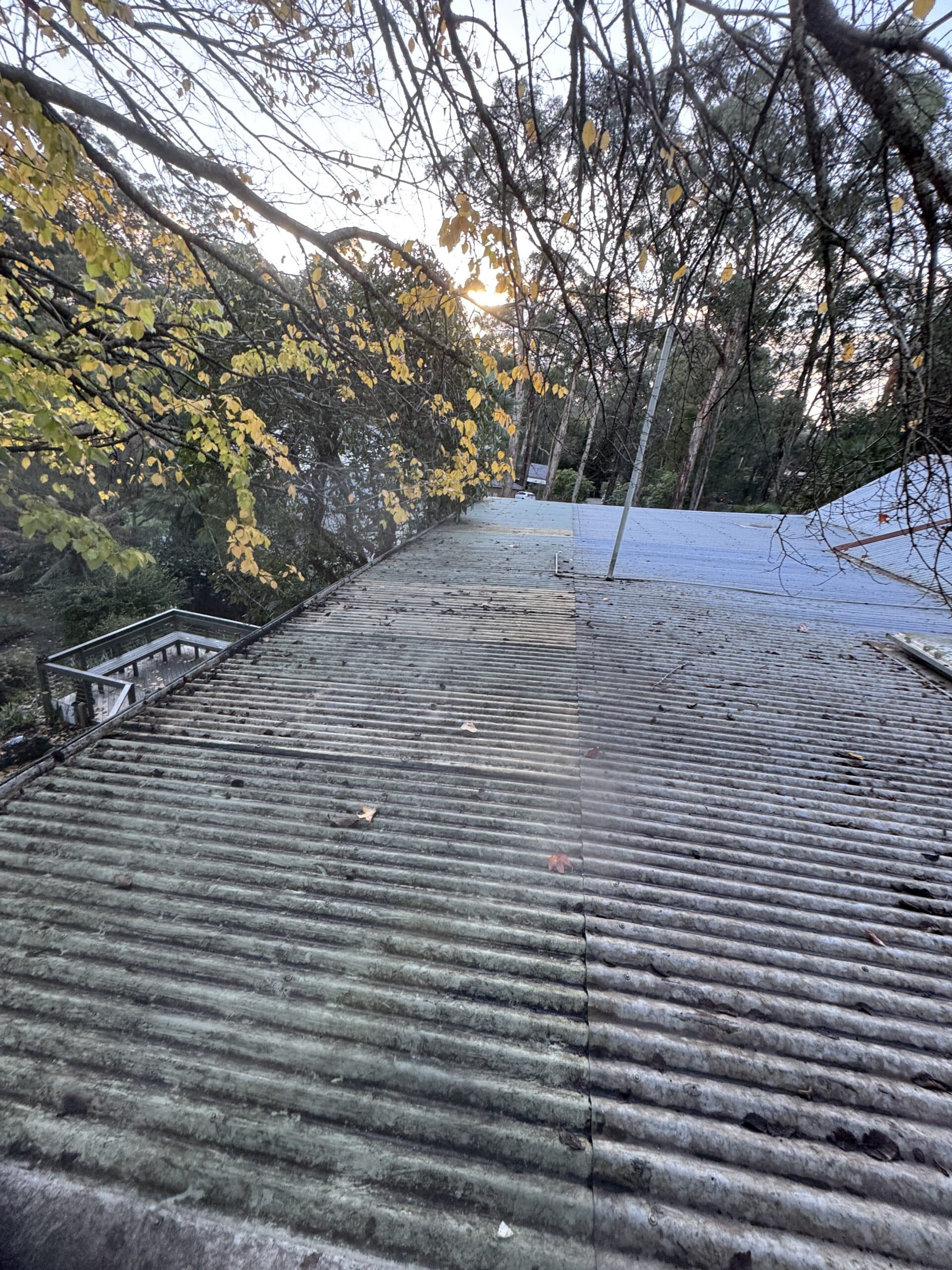 The roof brought back to life!
