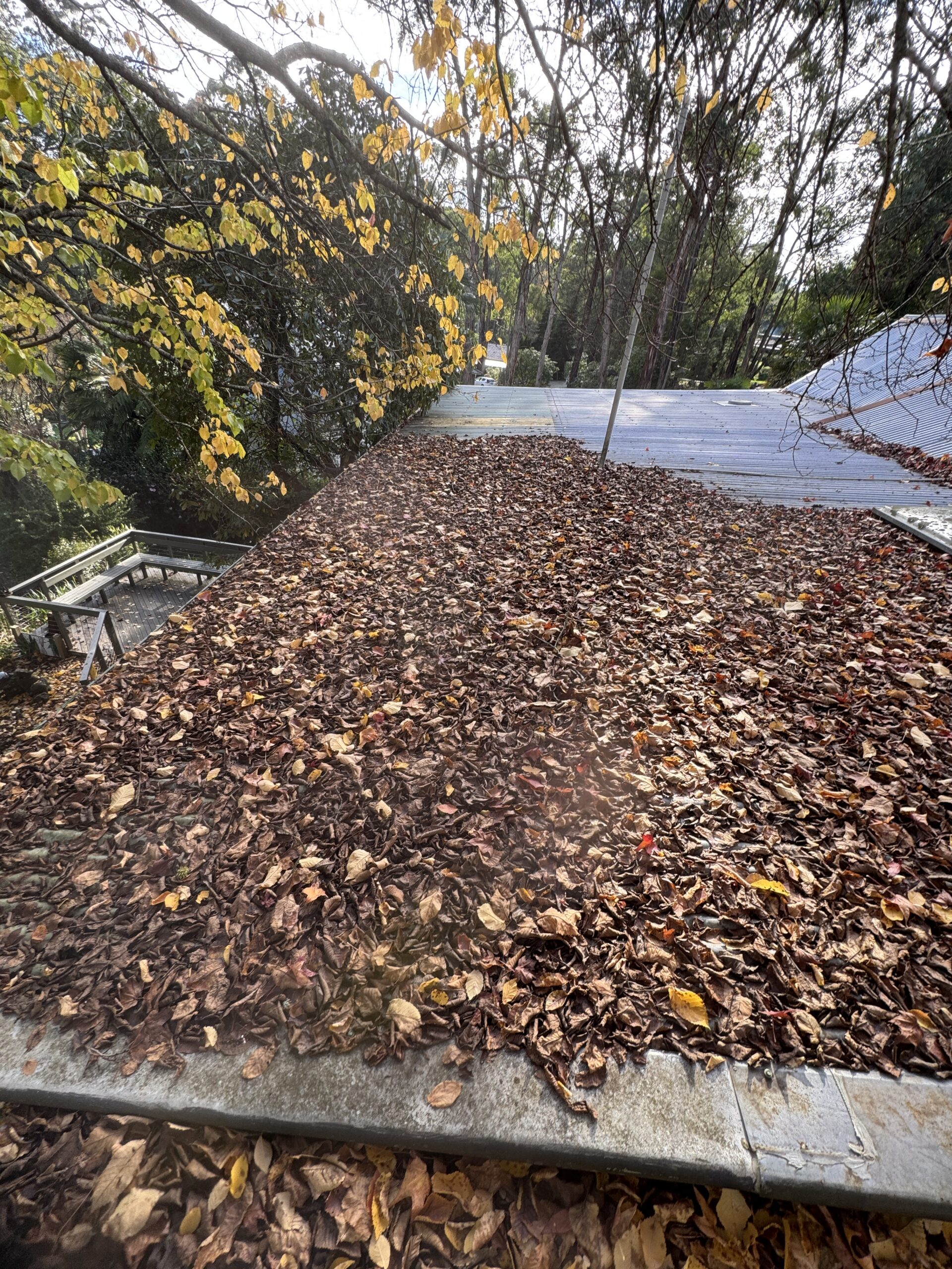 A roof in desperate need of some love...