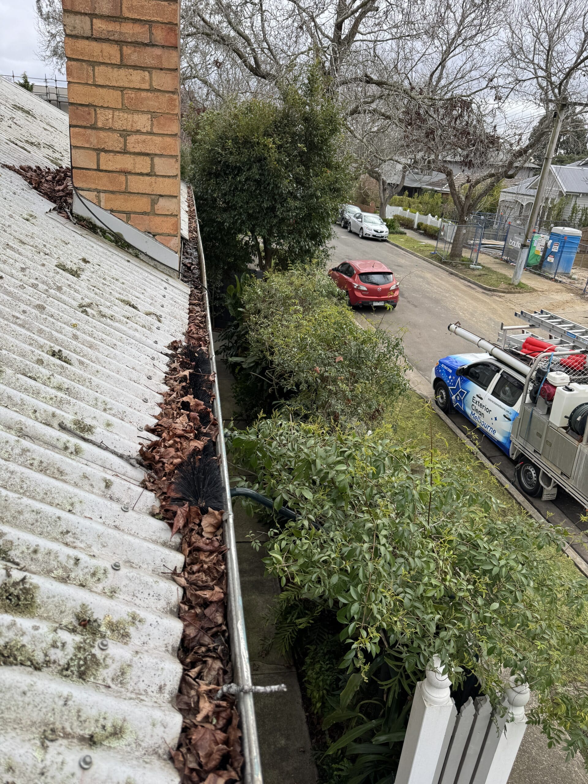 Plants and debris living in your gutters