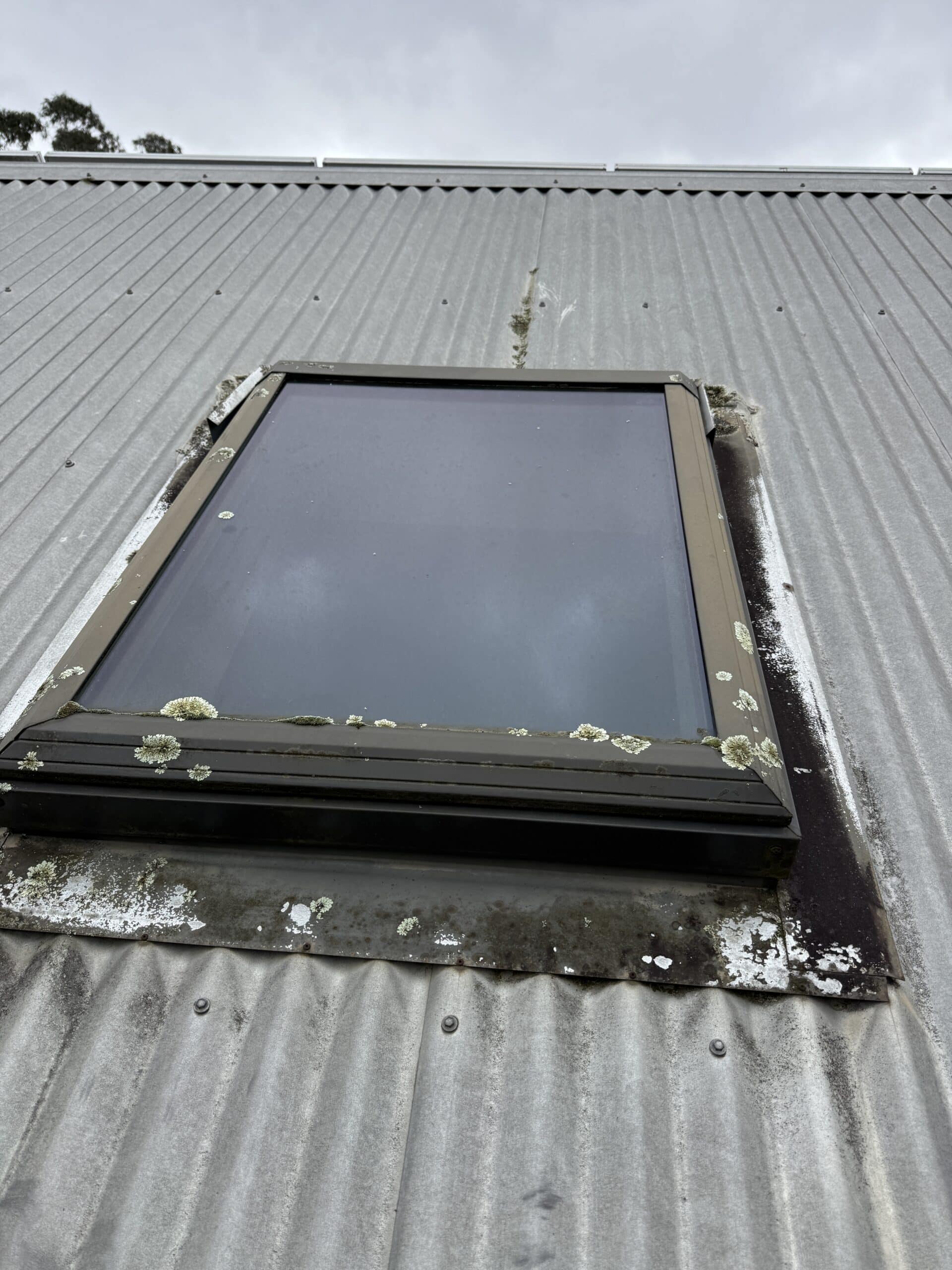 Skylight Before