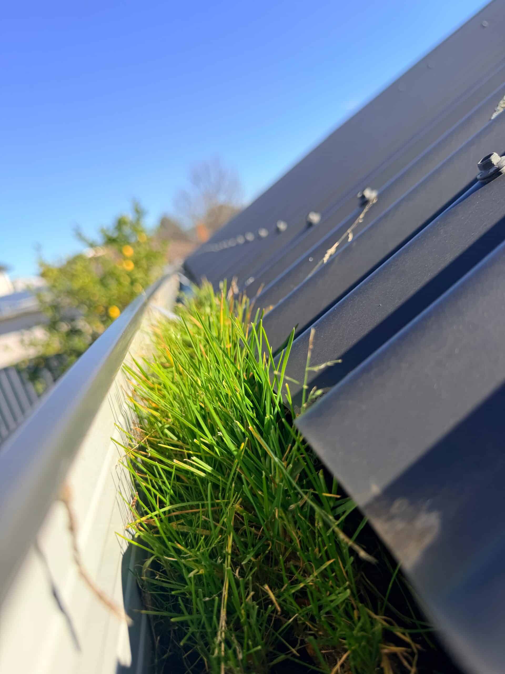 Gutter Before