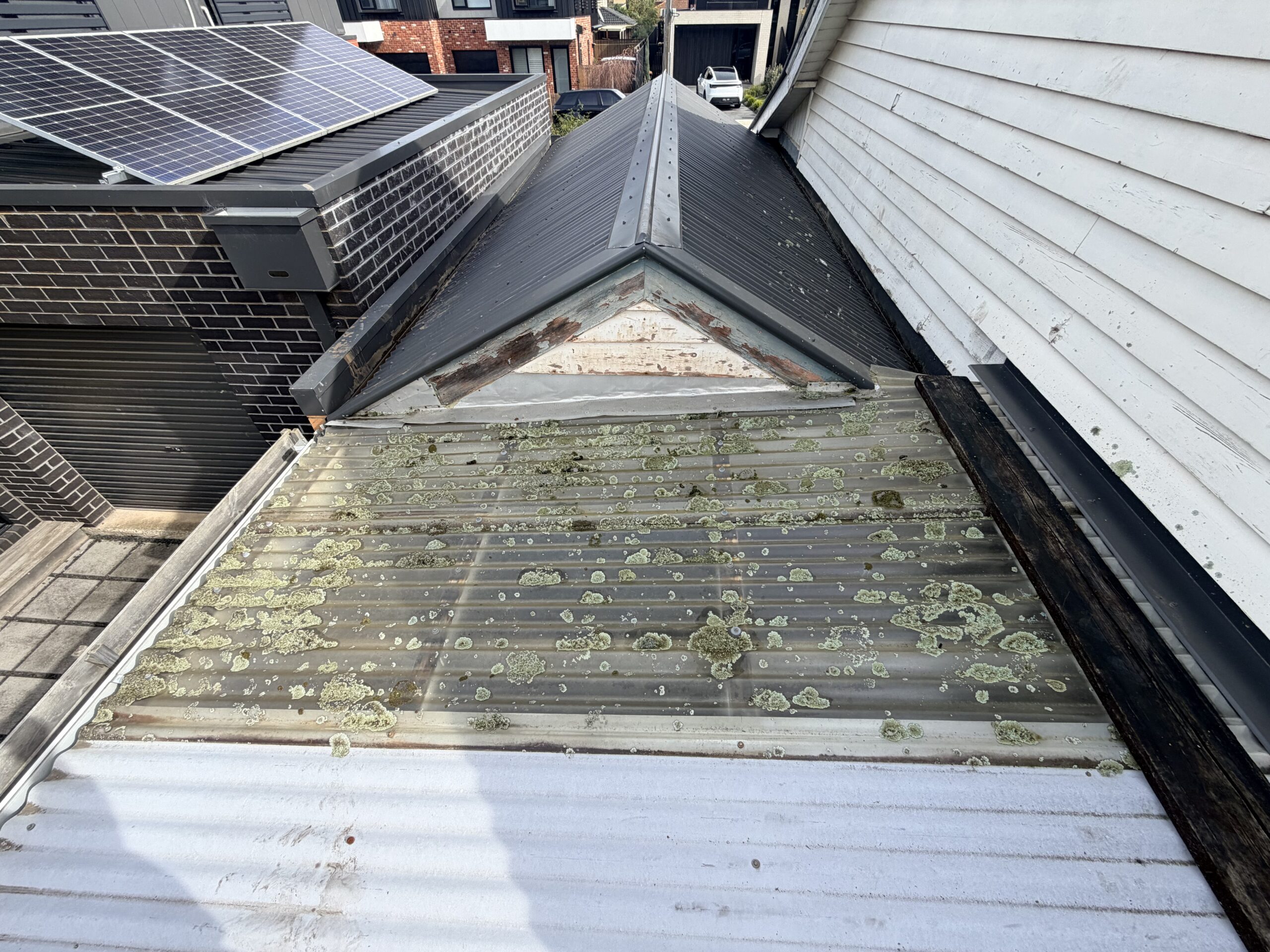 Skylight Before