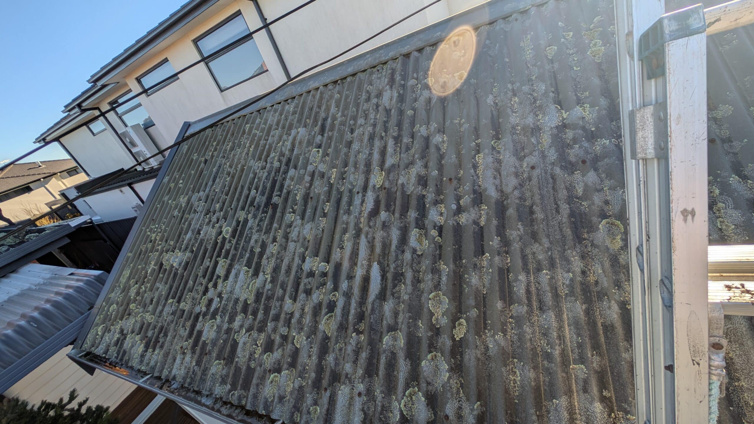 Moss packed into the tile overlaps
