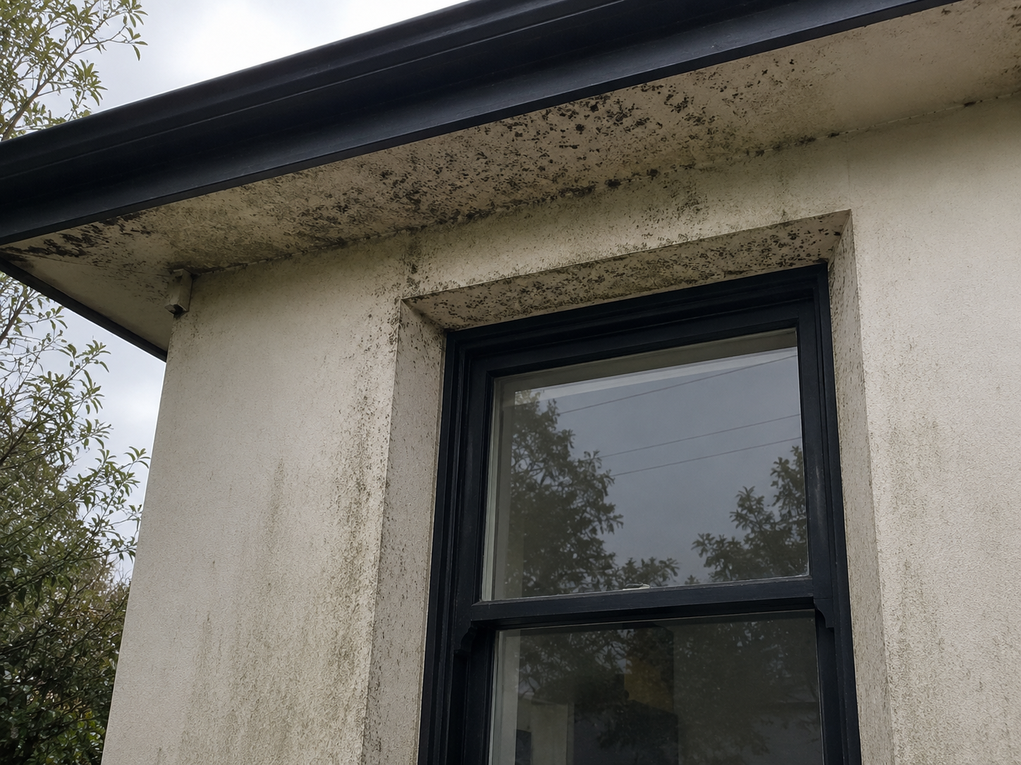 Mould around window frames and under eaves