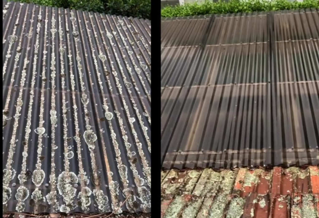 Plastic Polycarbonate Roof Clean - Mould Treatment